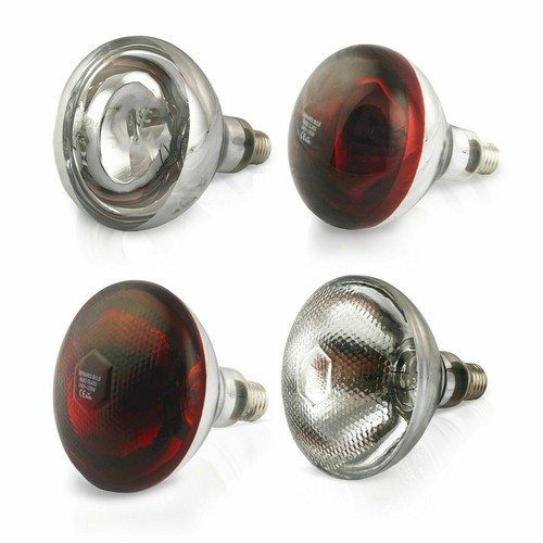 Infrarotbirne rotlichtlampe - infrarotbirne,