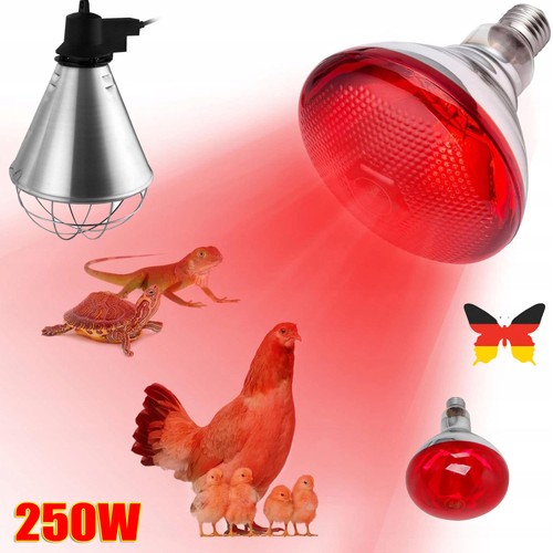 Wärmelampe inkl 250w - wärmelampe,