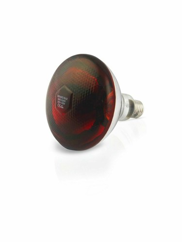 Rotlichtlampe wärmelampe - rotlichtlampe,