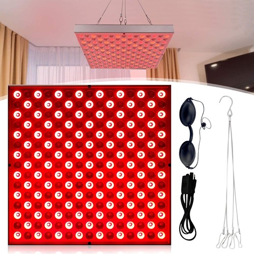 Infrarotlampe rotlichtlampe - infrarotlampe,