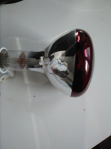 Rotlicht lampe 250w osram - lampe,
