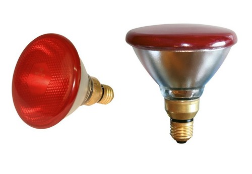 100 watt rotlichtlampe - 100,