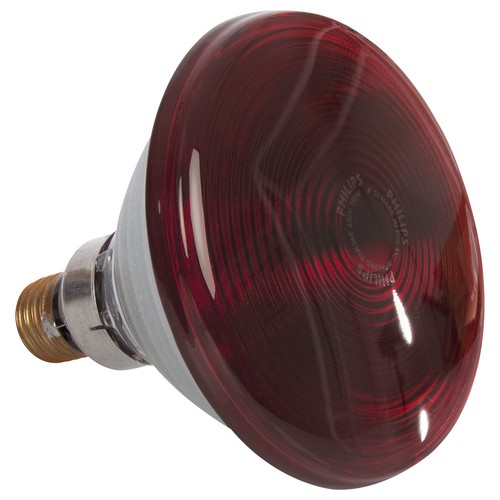 Infrarotlampe rotlicht birne - infrarotlampe,